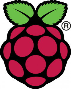 tempero systems-Raspberry Pi